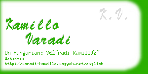 kamillo varadi business card